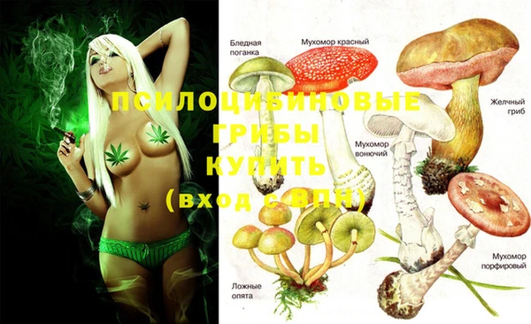дживик Алексеевка