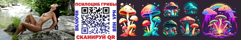 Псилоцибиновые грибы Psilocybine cubensis  маркетплейс формула  Звенигово 