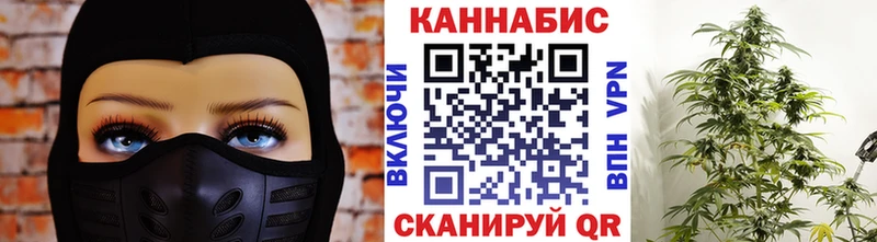 где можно купить   Звенигово  Бошки Шишки семена 